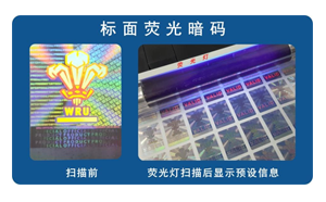化學草莓视频官方网站